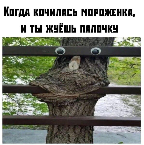 пгдп кпчипппь мпипжннкп и ты жніёшь пплпчкн