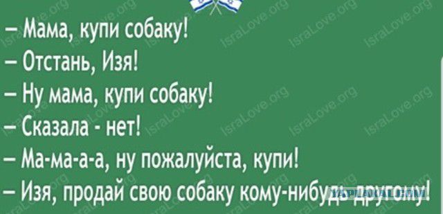 Мама купи собаку 0тстань Изя Ну мама купи собаку Сказала нет Ма ма а а ну пожалуйста купи Изя продай свою собаку кому нибжщрщш