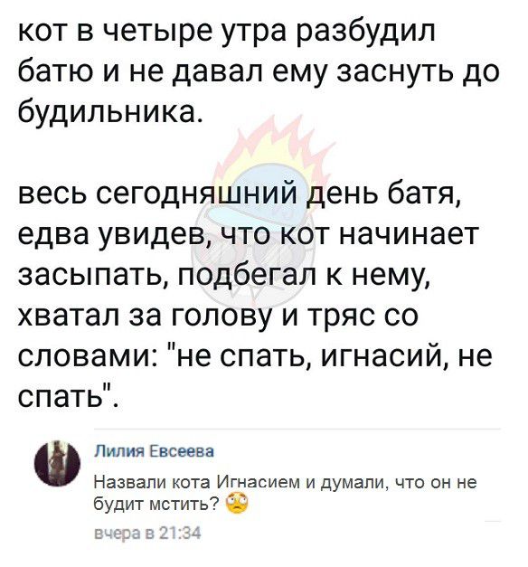 кот в четыре утра разбудил батю и не давал ему заснуть до будильника весь сегодняшний день батя едва увидев что кот начинает засыпать подбегал к нему хватал за голову и тряс со словами не спать игнасий не спать Лилия Евсеева Назвали кота Игнасием и думали что он не будит мстить