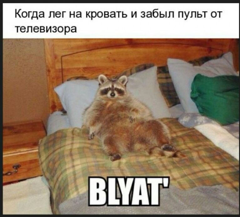 Когда лег на КРОВЗТЬ И забыл ПУЛЬТ ОТ телевизора