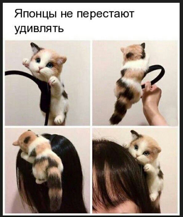 ЯПОНЦЫ не пе реста ЮТ УДИВЛЯТЬ
