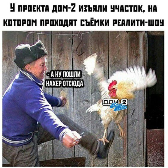 пшкти дим 2 изъяли нчпптпк ип КПТПРПИ ПРПКПДПТ СЪЁМКИ РЕПЛИТИШП Ёц___