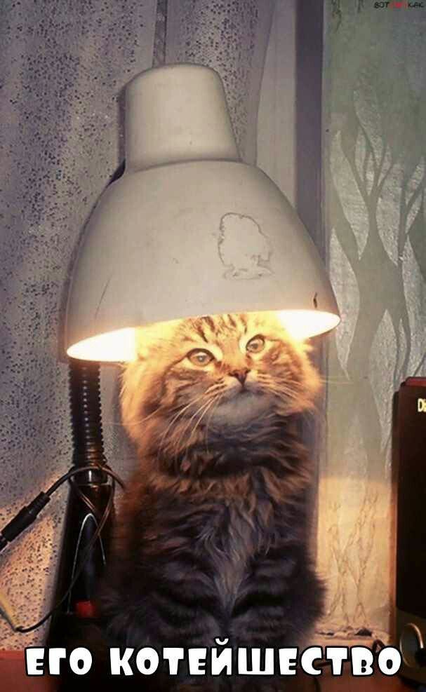 до а ЕГО КОТЁИШЁЁТВО