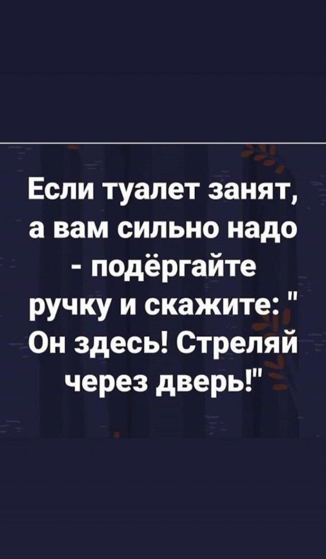 Если туалет занят а вам сильно надо подёргайте ручку и скажите Он здесь Стреляй через дверь
