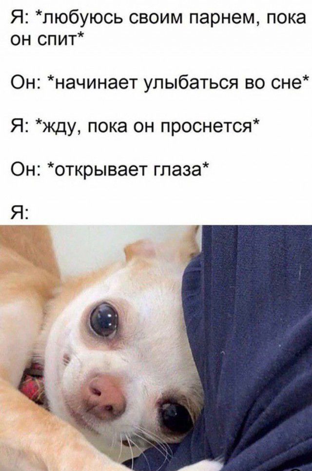 Я пюбуюсь своим парнем пока он спит Он начинает улыбаться во сне Я жду пока он проснется Он открывает глаза Я