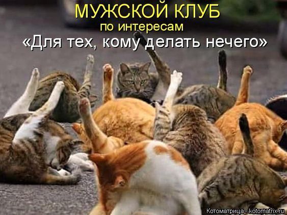 мужской КЛУБ ПО интересам Для тех кому делать нечего