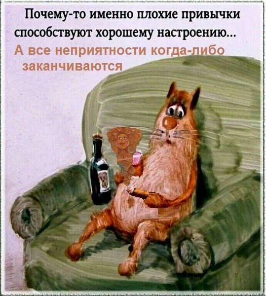 Почемуто именно плохие привычки способсгвуют хорошему настроению А все неприятности ког а ибо заканчиваются