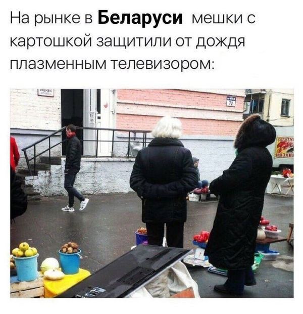 На рынке в Беларуси мешки с картошкой защитили от дождя ПЛЭЗМЗННЫМ телевизором