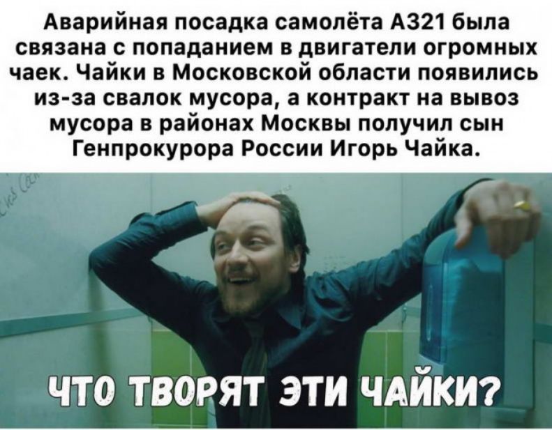 Аварийная посадка самолёта А321 была связана с попаданием в двигатели огромных чаек Чайки в Московской области появились из за свалок мусора а контракт на вывоз мусора в районах Москвы получил сын Генпрокурора России Игорь Чайка ЧТО ТВОРЯТ ЭТИ ЧАЙКИ