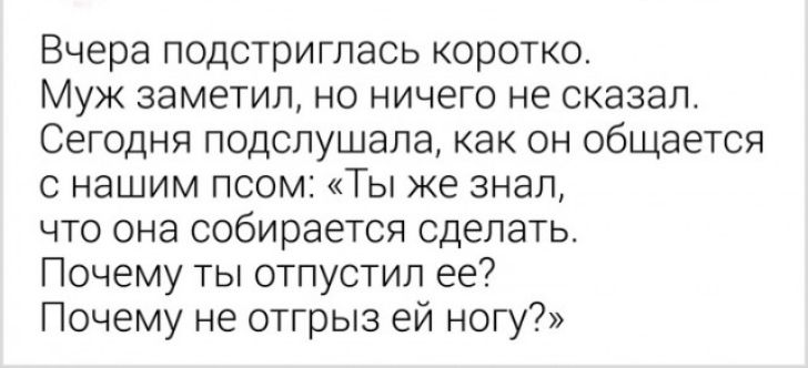 Вчера подстриглась коротко Муж заметил но ничего не сказал Сегодня подслушала как он общается с нашим псом Ты же знал что она собирается сделать Почему ты отпустил ее Почему не отгрыз ей ногу