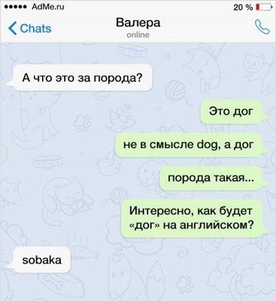 даме 20 Спав Валера А что это за порода это дог не в смысле 109 адог порода такая Интересно как будет дог на английском зоЬаКа