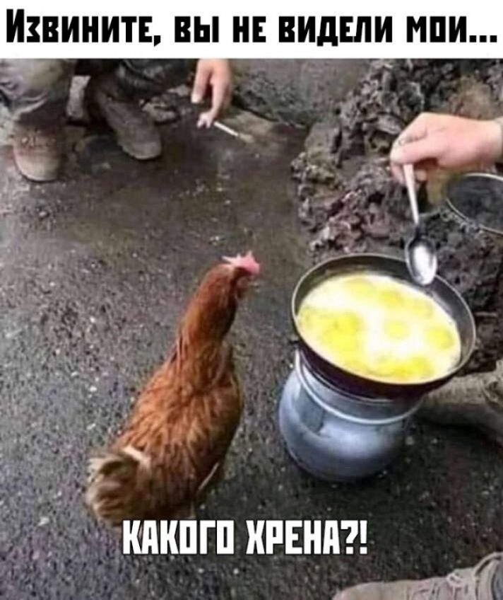 ВИНИТЕ ВЫ НЕ ВИдШИ МПИ П кпкпгп ИРЕН _