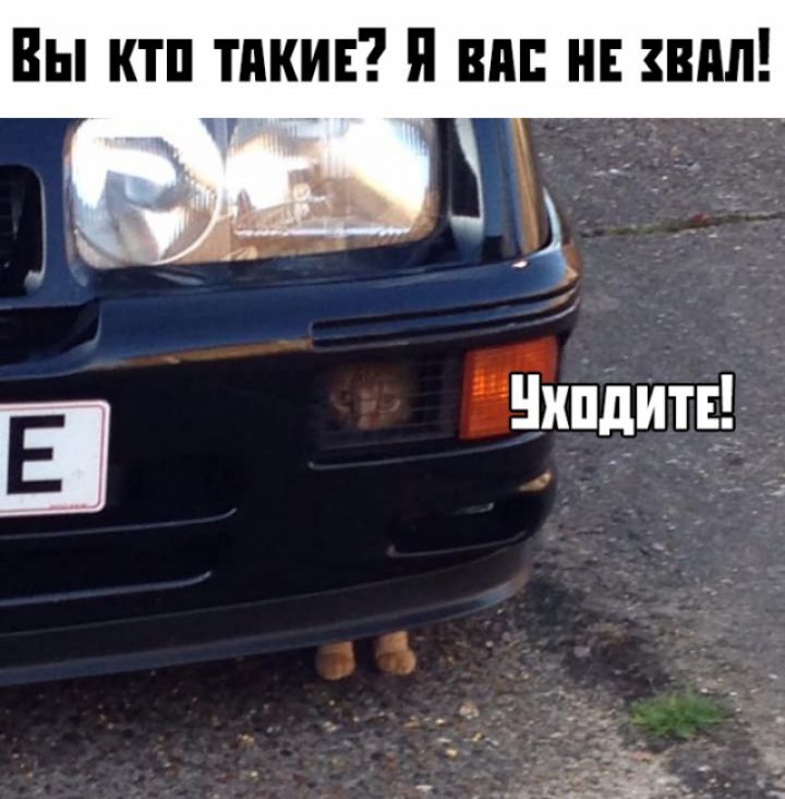 Вы ктп тпкин я нм и пил _