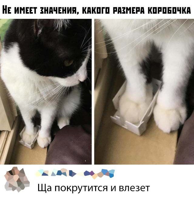 НЕ ИМЕЕТ ЗНАЧЕНИЯ КМШГП РАЗМЕРА КПРПЕПЧКП _мьи3 Ща покрутится и влезет