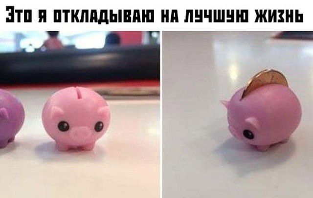 3 П ППШПДЫВПШ НП ЛНЧШНШ ЖИЗНЬ д 1 ди