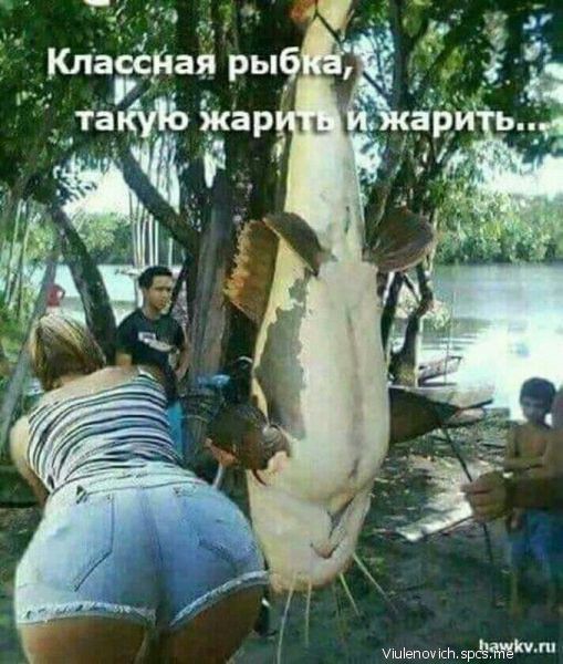 ЛЩепищсН