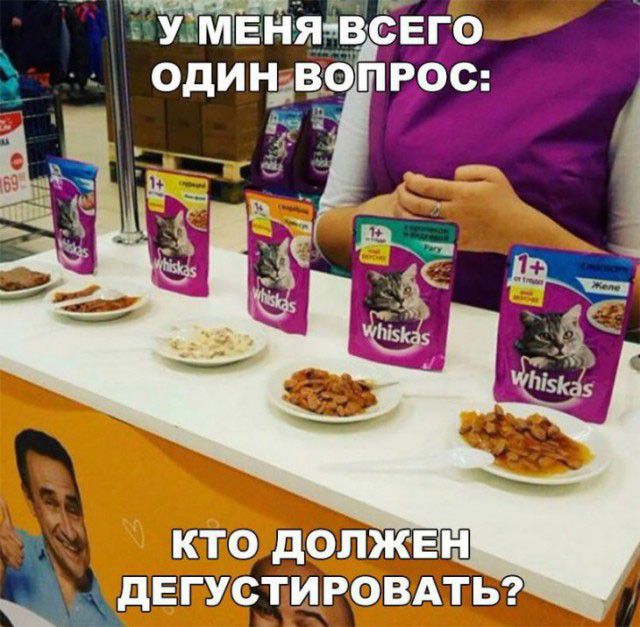 1 должан пшгзтЁЁдгЁЦ и