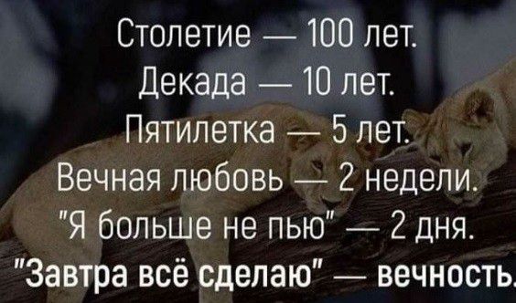 Столетие 100 лет Декада 10 лет Пятилетка 5 лет Вечная любовь _ 2 недели Я больше не пью 2 дня Завтра всё сделаю вечность