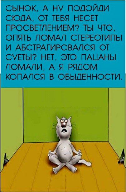 СЫНОК А НУ ПОДОЙДИ СЮДА ОТ ТЕБЯ НЕСЕТ ПРОСВЕТЛЕНИЕМ ТЫ ЧТО ОПЯТЬ ПОМАП СТЕРЕОТИПЫ И АБСТРАГИРОВАПСЯ ОТ СУЕТЫ НЕТ ЭТО ПАЦАНЫ ПОМАПИ А Я РЯДОМ КОПАПСЯ В ОБЫДЕННОСТИ