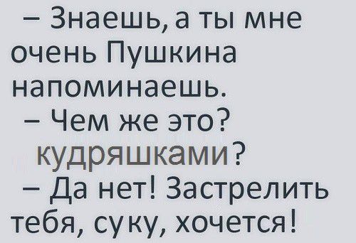 Знаешьа ты мне очень Пушкина напоминаешь Чем же это кудряшками Да нет Застрелить тебя суку хочется