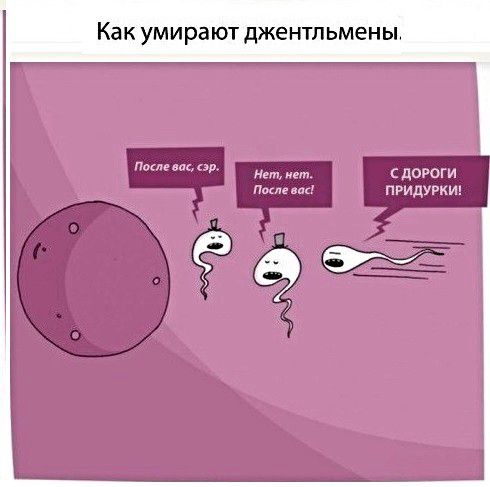 Как УМИРЗЮТ ДЖЕНТЛЬМЕНЫ мм пологи пы придурки Ломе сэр