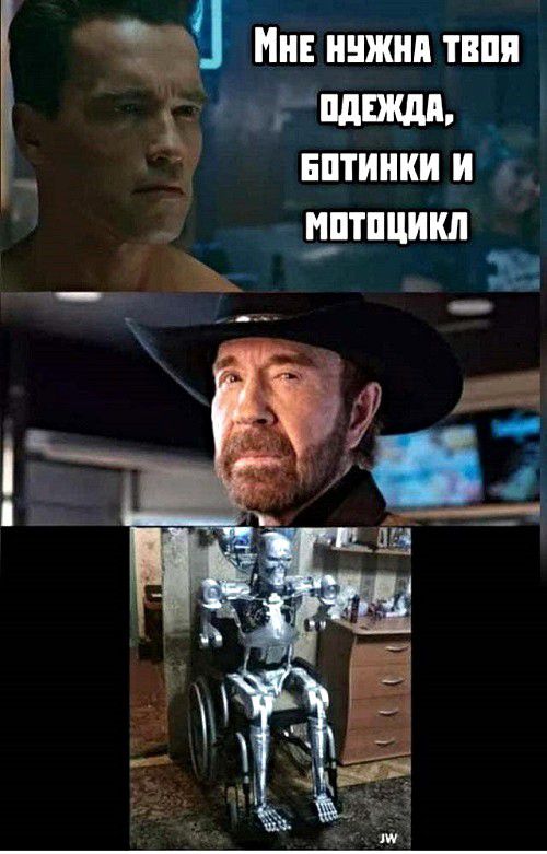 Мн ннжип твпя г идиш нптинки и т у шппцикл