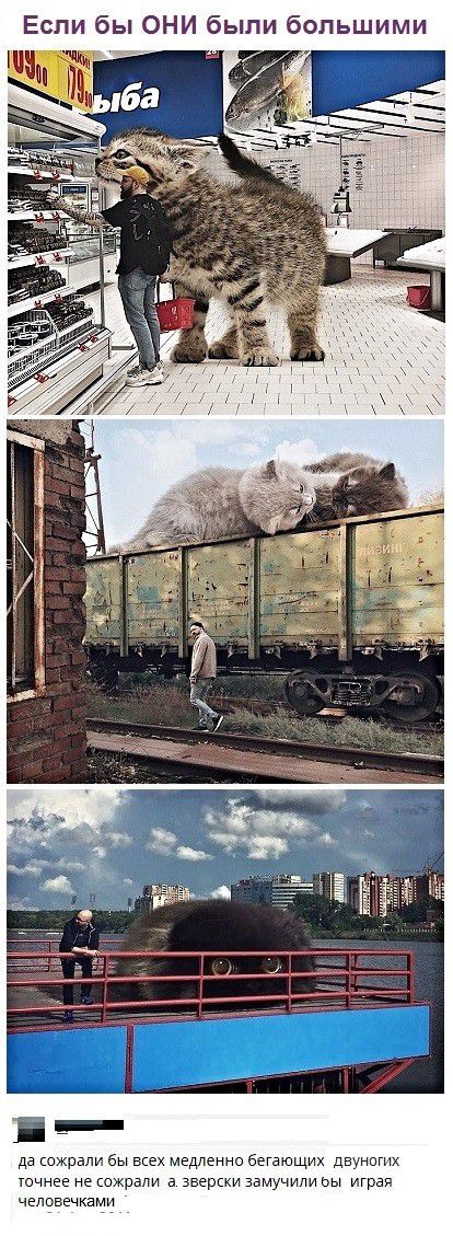 Если бы ОНИ были большими і _ да сожрали бы всех медленно бегающих двунпгих точнее не кахрали а зверски замучили ьы играп чеповечками