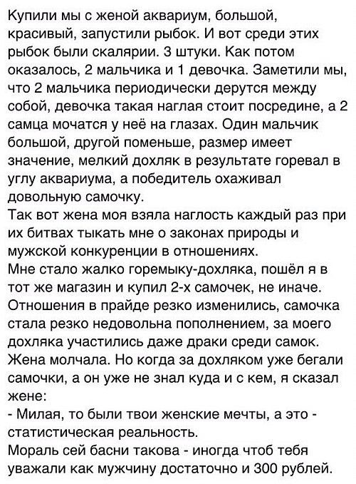 Купили мы с женой аквариум большой красивый запустили рыбок И вот среди этих рыбок были скалярии 3 штуки Как потом оказалось 2 мальчика и 1 девочка Заметили мы что 2 мальчика периодически дерутся между собой девочка такая наглая стоит посредине а 2 самца мочатся у неё на глазах Один мальчик большой другой поменьше размер имеет значение мелкий дохлпк в результате горевал в углу аквариума а победите