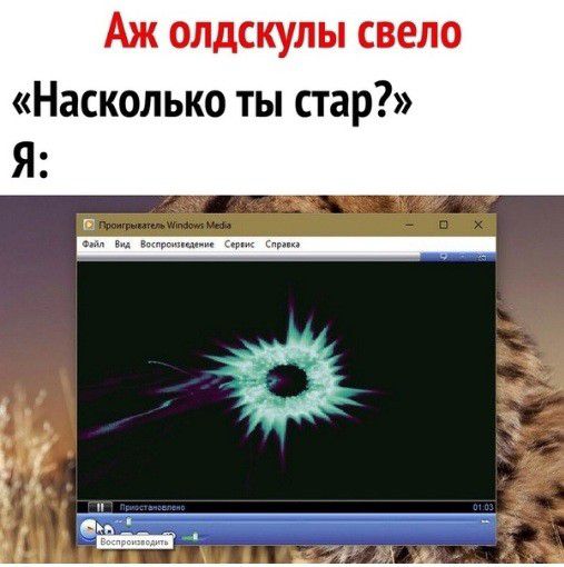 Аж олдскулы свело Насколько ты стар