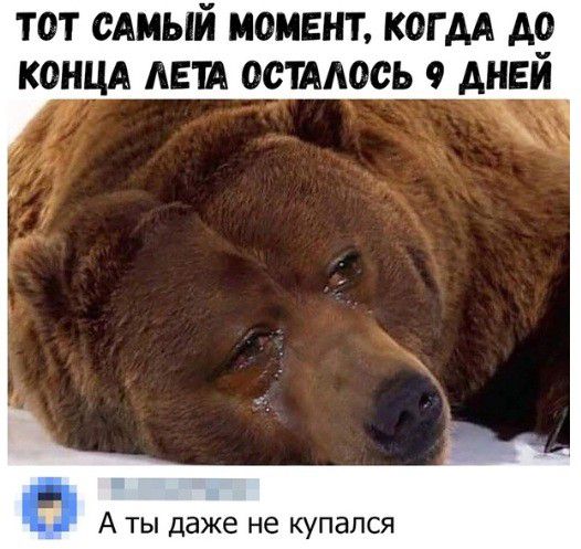 ТОТ САМЫЙ МОМЕНТ КОГДА АО КОНЦА АЕШ ОСТАЛОСЬ 9 АНЕ Б 1 А ТЫ даже не купался