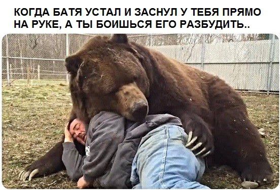 КОГДА БАТЯ УСТАЛ И ЗАСНУЛ У ТЕБЯ ПРЯМО НА РУКЕ А ТЫ БОИШЬСЯ ЕГО РАЗБУДИТЬ а