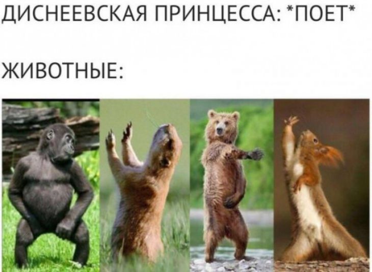 ДИСНЕЕВСКАЯ ПРИНЦЕССА ПОЕТ ЖИВОТНЫЕ