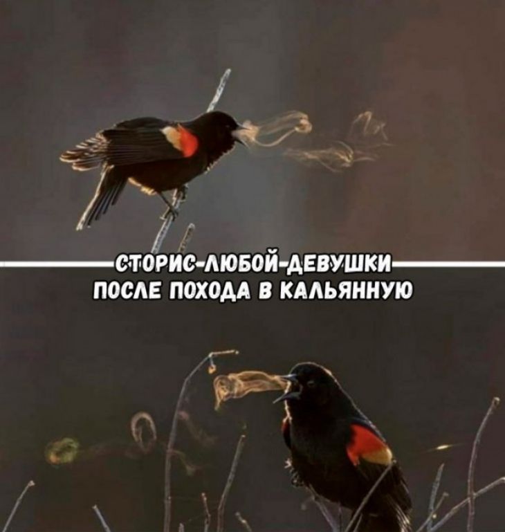 стОРИС АЮБОЙ АЕВУШКИ ПОСЛЕ ПОХОАА В КААЬЯННУЮ