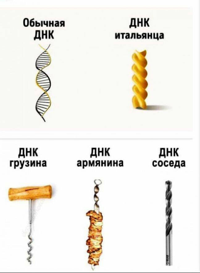 Обычная дНК дНК итальянца дНК дНК дНК грузина армянина соседа ч Е і і 3