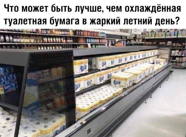Что может быть лучшечем охлаждённая туалетная бумага в жаркий летний день тим ппц