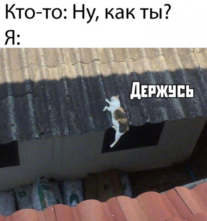 Ктото Ну как ты Я дЕпжнпь Ё