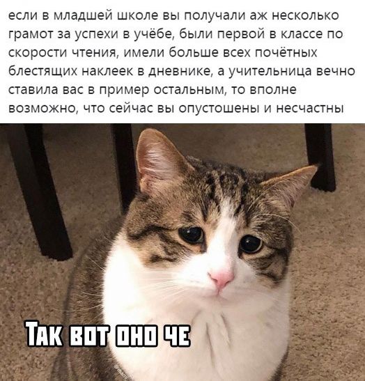 ЕСЛИ Б младшей ШКОЛЕ Вы получали ЕЖ НЕСКОЛЬКО грамот за успехи в учебе были первой в классе по скорости чтения имели больше всех почетнык блестящих наклеек в Дневнике а учительница вечно ставила вас в пример остальным то вполне возможно что сейчас вы опустошены и несчастны