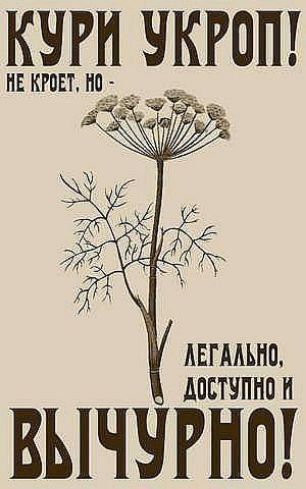 КЧРИ ЧКРОП НЕКРПЕТ ИП __ АЕГАМНО Апвтчпнп н ВЫЧЧРНО