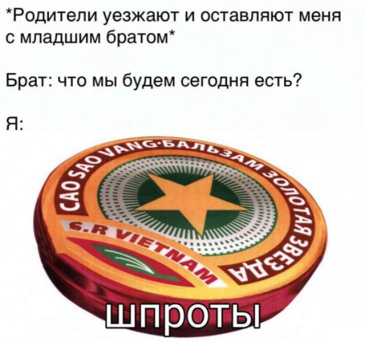 Родители уезжают и оставляют меня с младшим братом Брат что мы будем сегодня есть