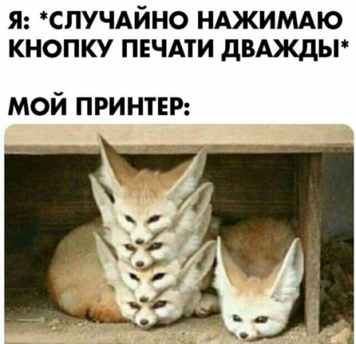Я СЛУЧАЙНО НАЖИМАЮ КНОПКУ ПЕЧАТИ ДВАКДЫ мой ПРИНТЕР