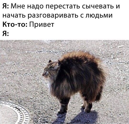 Я Мне надо перестать сычевать и начать разговаривать с людьми Ктото Привет