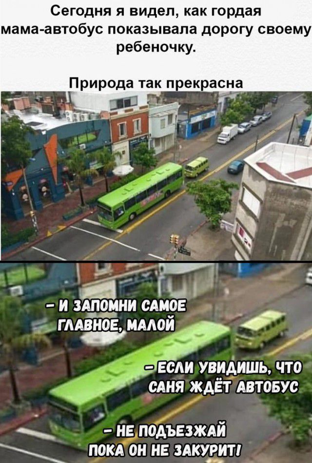 Сегодня я видел как гордая мама автобус показывала дорогу своему ребеночку Природа так п оекрасна и эмоции САМОЕ гмвноЁ ммой _ _ ЁСАИ УВИАИШЬ ЧТО САНЯ ЖАЁТ АВТОБУС нв подъезждй покд он не здку_3_ит