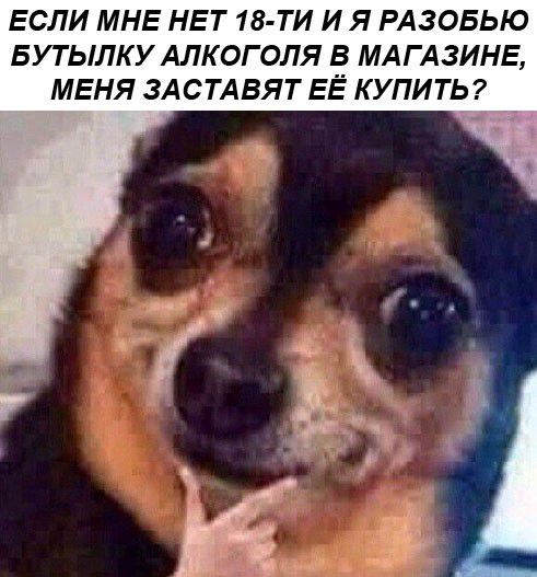 ЕСЛИ МНЕ НЕТ 18 ТИ ИЯ РАЗОБЬЮ БУТЫЛКУ АЛКОГОЛЯ В МАГАЗИНЕ МЕНЯ ЗАСТАВЯТ ЕЁ КУПИТЬ