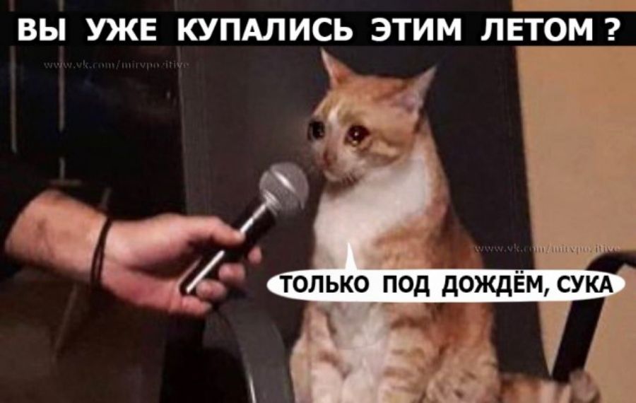 ВЫ УЖЕ КУПАЛИСЬ ЭТИМ ЛЕТОМ