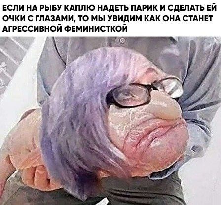 ЕСЛИ НА РЫБУ КАПЛЮ ЩЕТЬ ПАРИК И СДЕЛАТЬ ЕЙ ОЧКИ С ГЛАЗАМИ ТО МЫ увидим КАК ОНА СТАНЕТ АГРЕССИВНОЙ ФЕМИНИСТКОЙ 119