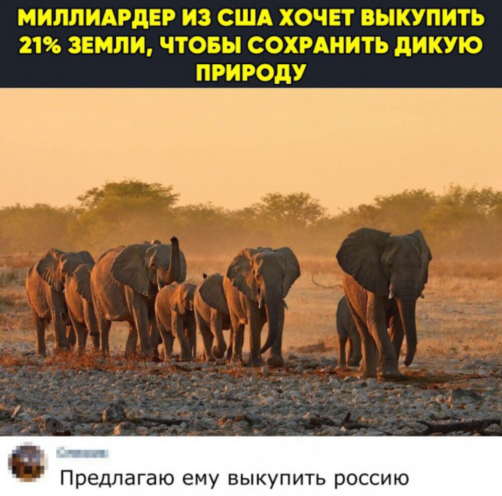 Предлагаю ему выкупить россию