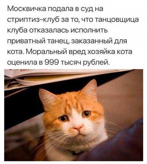 Москвичка подала в суд на стриптизклуб за то что танцовщица клуба отказалась исполнить приватный танец заказанный для кота Моральный вред хозяйка кота оценила в 999 тысяч рублей
