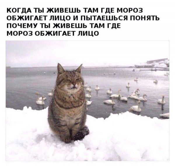 КОГДА ТЫ ЖИВЕШЬ ТАМ ГДЕ МОРОЗ ОБЖИГАЕТ ЛИЦО И ПЫТАЕШЬСЯ ПОНЯТЬ ПОЧЕМУ ТЫ ЖИВЕШЬ ТАМ ГДЕ МОРОЗ ОБЖИГАЕТ ЛИЦО