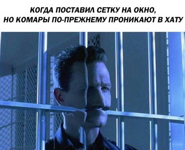КОГДА ПОСТАВИЛ СЕТКУ НА ОКНО НО КОМАРЫ ПО ПРЕЖНЕМУ ПРОНИКАЮТ В ХАТУ