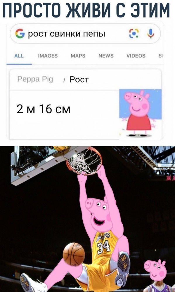ПРОСТО ЖИВИ С ЭТИМ РОСТ СВИНКИ пепы _